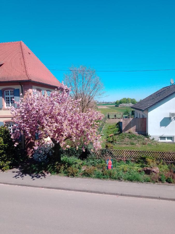 Appartement Gastehaus Brunhilde à Wittenweier Extérieur photo